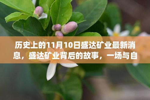 盛达矿业背后的故事，与自然美景的奇妙逅遇之旅——最新消息回顾（11月10日）