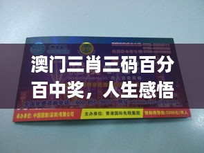 澳门三肖三码百分百中奖，人生感悟与策略升级_KGM94.788闪耀版