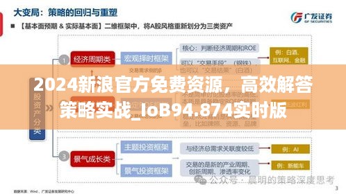 2024新浪官方免费资源，高效解答策略实战_IoB94.874实时版