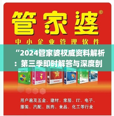 “2024管家婆权威资料解析：第三季即时解答与深度剖析_VPI61.355限定版”