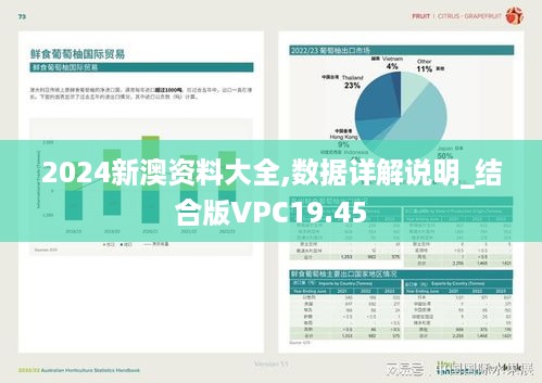 2024新澳资料大全,数据详解说明_结合版VPC19.45