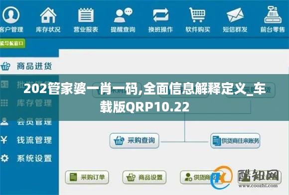 202管家婆一肖一码,全面信息解释定义_车载版QRP10.22