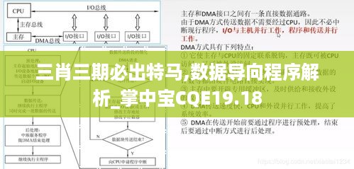 三肖三期必出特马,数据导向程序解析_掌中宝CQE19.18