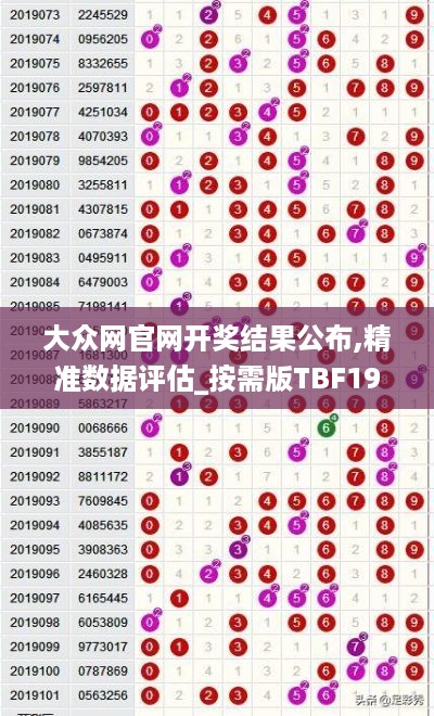 大众网官网开奖结果公布,精准数据评估_按需版TBF19.6