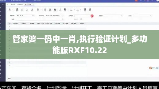 管家婆一码中一肖,执行验证计划_多功能版RXF10.22