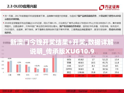 新澳门今晚开奖结果+开奖,数据详解说明_传承版XUG10.9