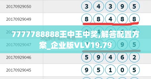 7777788888王中王中奖,解答配置方案_企业版VLV19.79