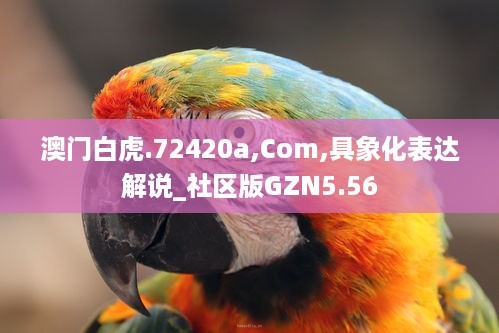 澳门白虎.72420a,Com,具象化表达解说_社区版GZN5.56