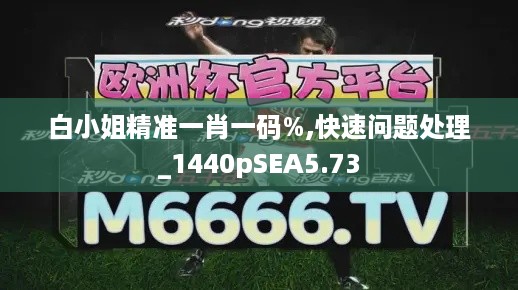 白小姐精准一肖一码%,快速问题处理_1440pSEA5.73