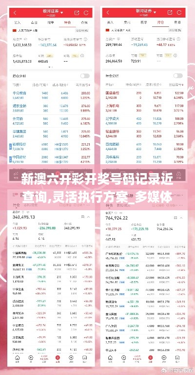 新澳六开彩开奖号码记录近查询,灵活执行方案_多媒体版FBS14.49