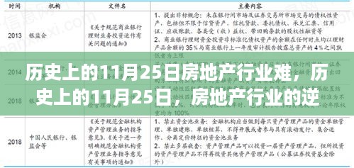 历史上的11月25日，房地产行业的逆境与挑战中的未来无限可能