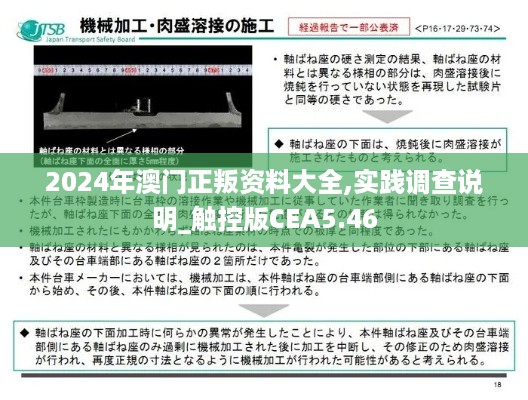 2024年澳门正叛资料大全,实践调查说明_触控版CEA5.46