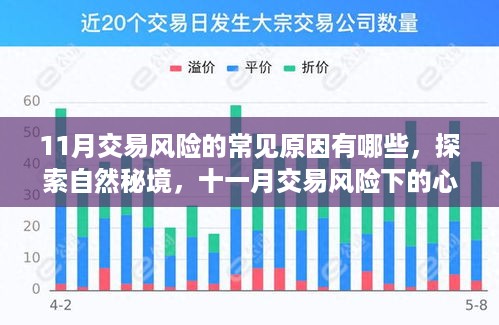 十一月交易风险解析与探索自然秘境的心灵之旅