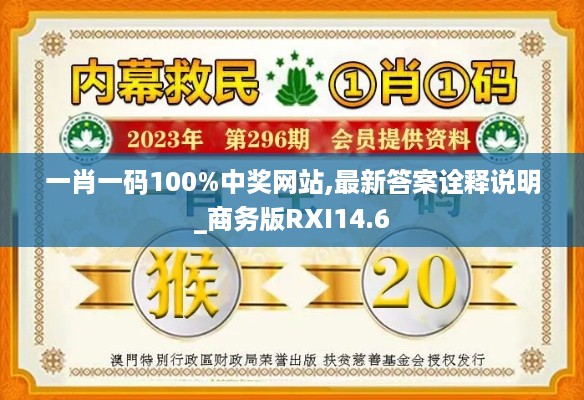 一肖一码100%中奖网站,最新答案诠释说明_商务版RXI14.6