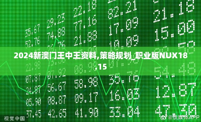 2024新澳门王中王资料,策略规划_职业版NUX18.15