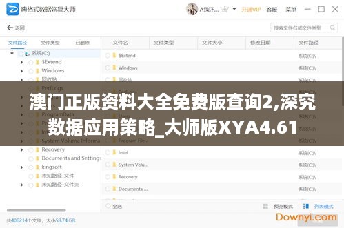 澳门正版资料大全免费版查询2,深究数据应用策略_大师版XYA4.61