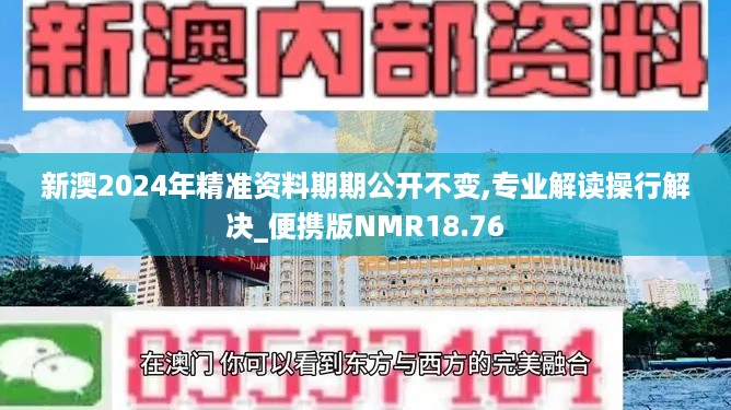 新澳2024年精准资料期期公开不变,专业解读操行解决_便携版NMR18.76