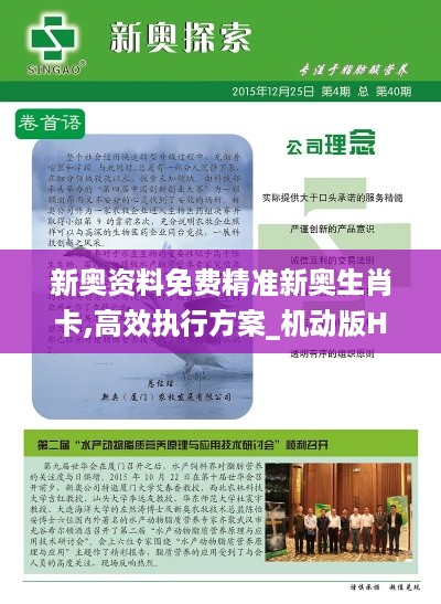 新奥资料免费精准新奥生肖卡,高效执行方案_机动版HUO21.229