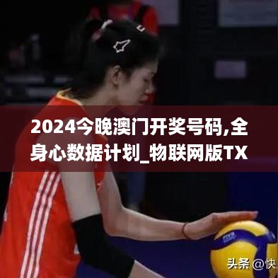 2024今晚澳门开奖号码,全身心数据计划_物联网版TXE59.347