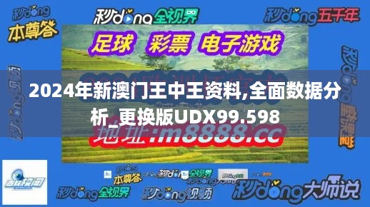 2024年新澳门王中王资料,全面数据分析_更换版UDX99.598