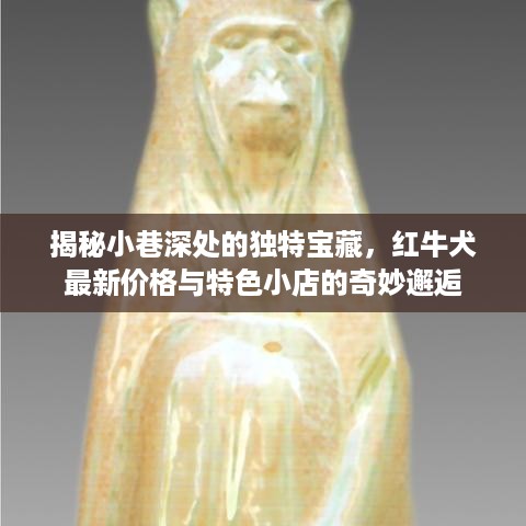 揭秘小巷深处的独特宝藏，红牛犬最新价格与特色小店的惊喜之旅