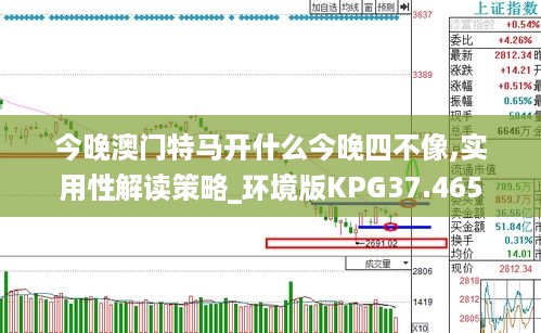 今晚澳门特马开什么今晚四不像,实用性解读策略_环境版KPG37.465