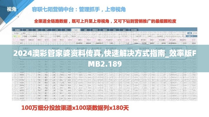 2024澳彩管家婆资料传真,快速解决方式指南_效率版FMB2.189