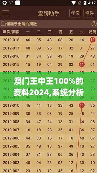 澳门王中王100%的资料2024,系统分析方案设计_智能版CXK66.837