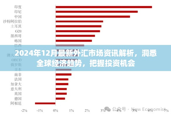 全球经济趋势洞察，最新外汇市场资讯解析与投资机会展望（2024年12月）