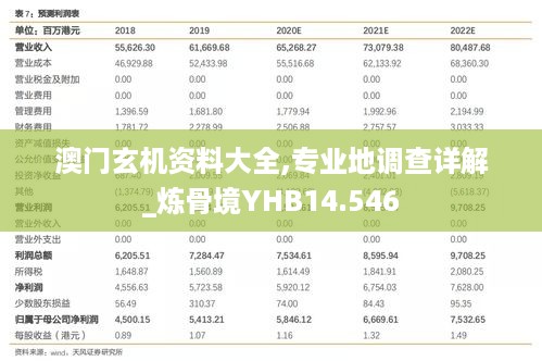 澳门玄机资料大全,专业地调查详解_炼骨境YHB14.546