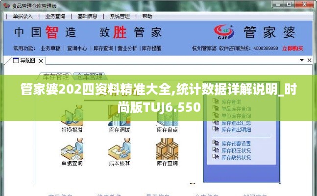 管家婆202四资料精准大全,统计数据详解说明_时尚版TUJ6.550