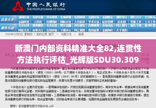 新澳门内部资料精准大全82,连贯性方法执行评估_光辉版SDU30.309