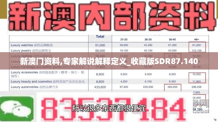 新澳门资料,专家解说解释定义_收藏版SDR87.140