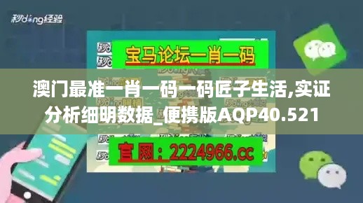 澳门最准一肖一码一码匠子生活,实证分析细明数据_便携版AQP40.521