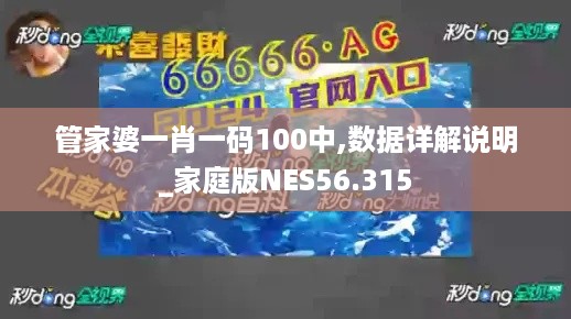 管家婆一肖一码100中,数据详解说明_家庭版NES56.315