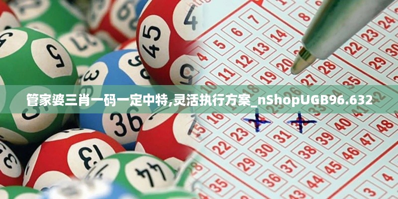 管家婆三肖一码一定中特,灵活执行方案_nShopUGB96.632