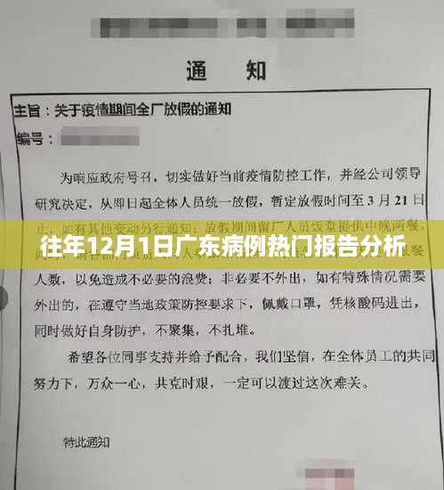 广东历年十二月一日病例报告深度解析