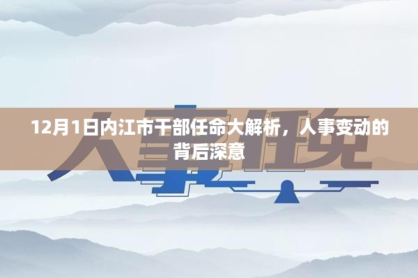 12月1日内江市干部任命深度解析，人事变动背后的意义