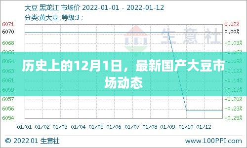 历史上的12月1日，国产大豆市场动态概览