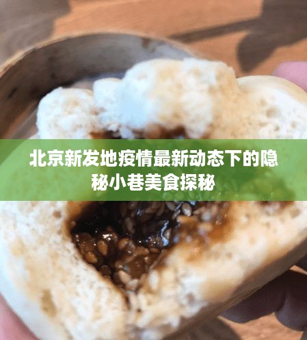 北京新发地疫情最新动态下的隐秘小巷美食探秘之旅