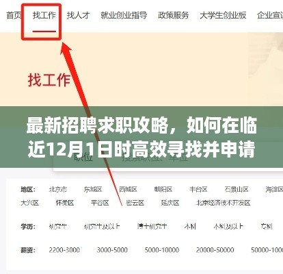 最新招聘求职攻略，高效寻找并申请心仪职位指南（临近12月1日）