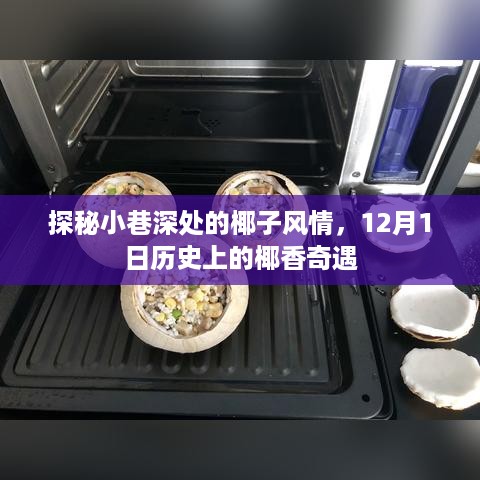 探秘小巷深处的椰子风情，椰香奇遇的12月1日历史揭秘