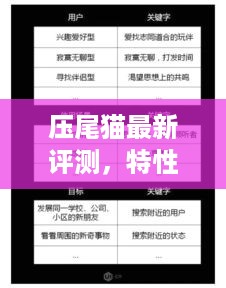 压尾猫全面评测，特性、使用体验与目标用户群体深度解析