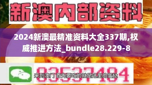 2024新澳最精准资料大全337期,权威推进方法_bundle28.229-8