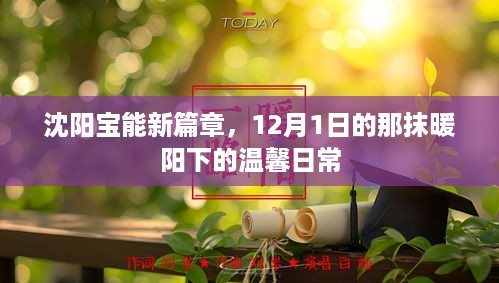 沈阳宝能新篇章，暖阳下的日常温馨时光（12月1日）