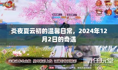 炎夜夏云初的温馨日常，2024年12月2日的奇遇之旅