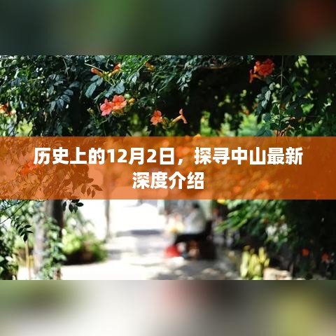 中山深度游，探寻历史与文化的魅力之旅