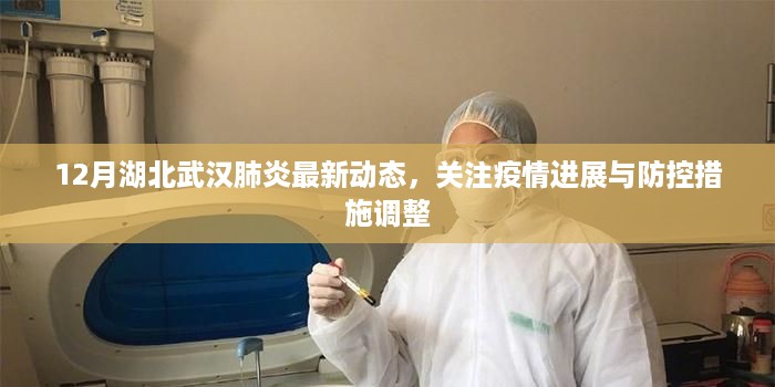 湖北武汉肺炎最新动态，疫情进展与防控措施调整关注报告