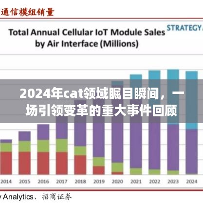 2024年CAT领域变革性事件回顾，引领行业瞩目的瞬间