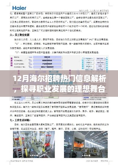 12月海尔招聘热门信息解读，探寻职业发展理想舞台，共创未来辉煌